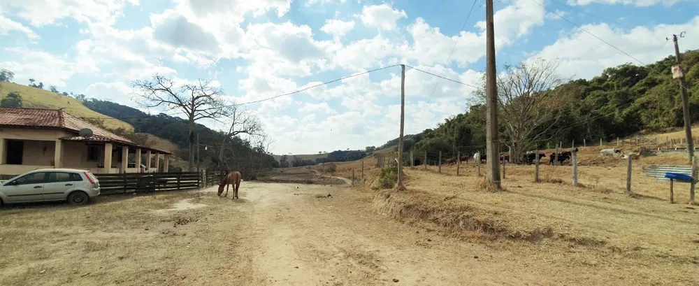 Fazenda, 460 hectares - Foto 3