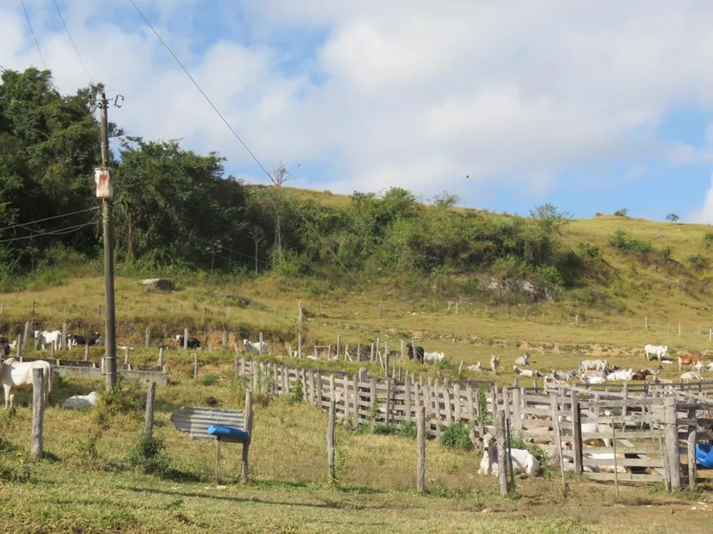 Fazenda, 460 hectares - Foto 4