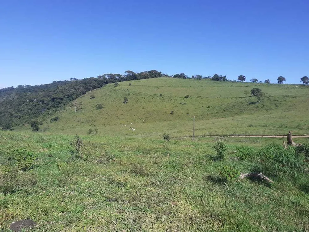 Fazenda, 460 hectares - Foto 8