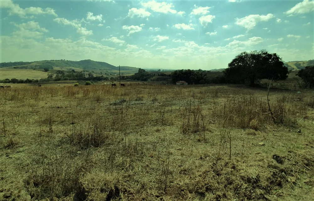 Fazenda, 460 hectares - Foto 14
