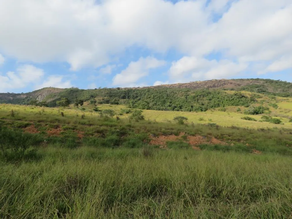 Fazenda, 460 hectares - Foto 2