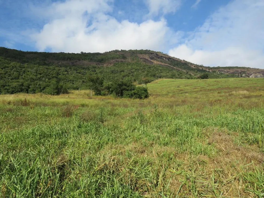 Fazenda, 460 hectares - Foto 7