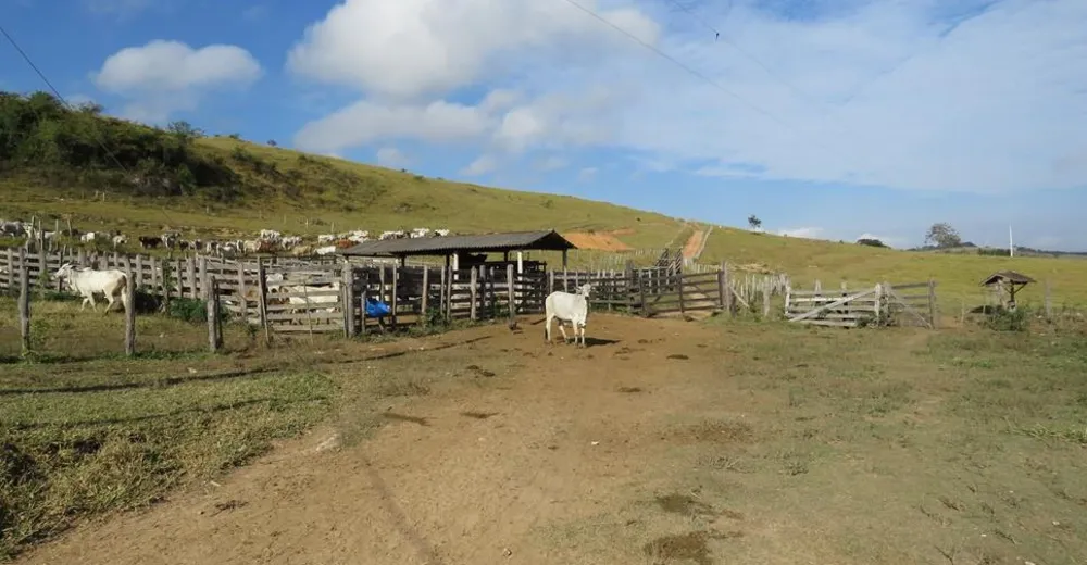 Fazenda, 460 hectares - Foto 1
