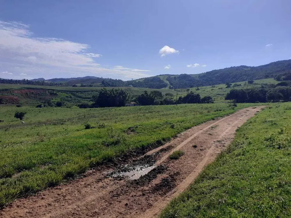 Fazenda, 460 hectares - Foto 10