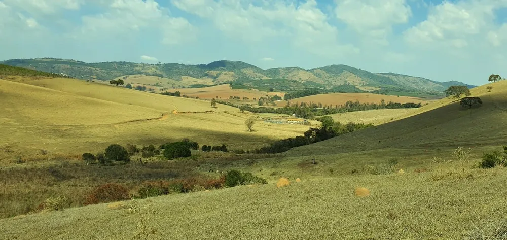 Fazenda, 460 hectares - Foto 1