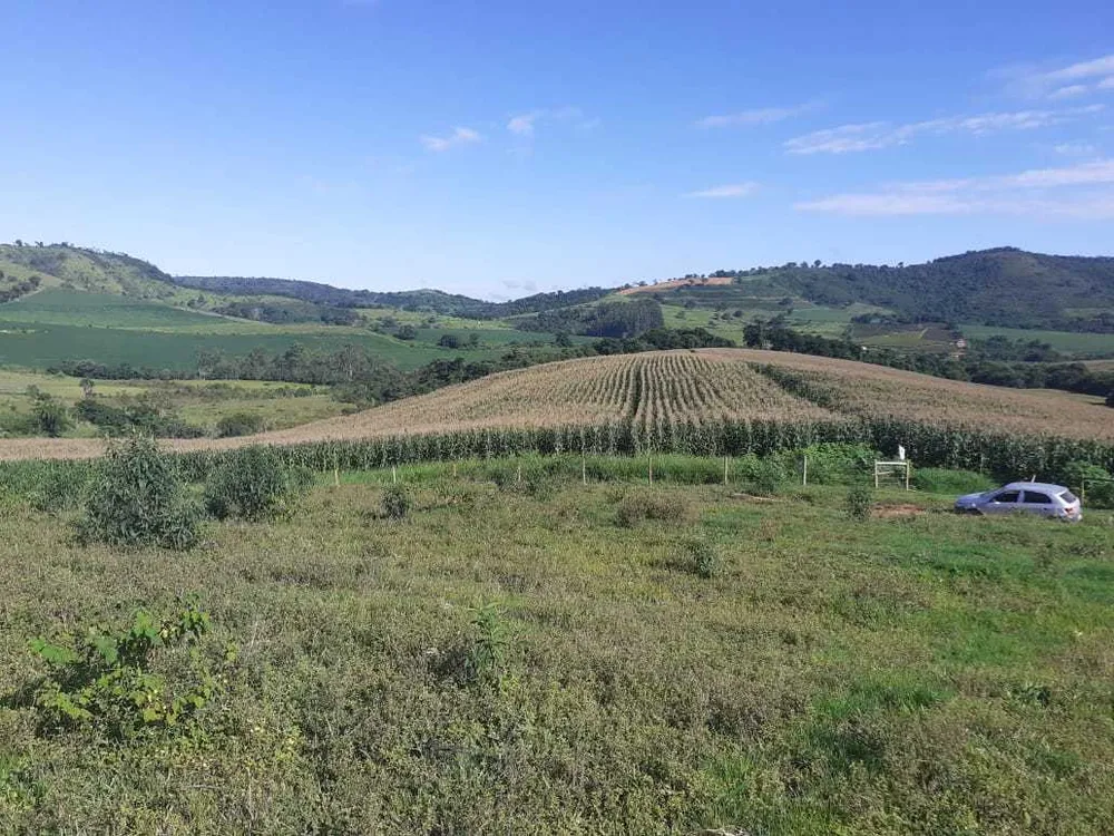 Fazenda, 460 hectares - Foto 6