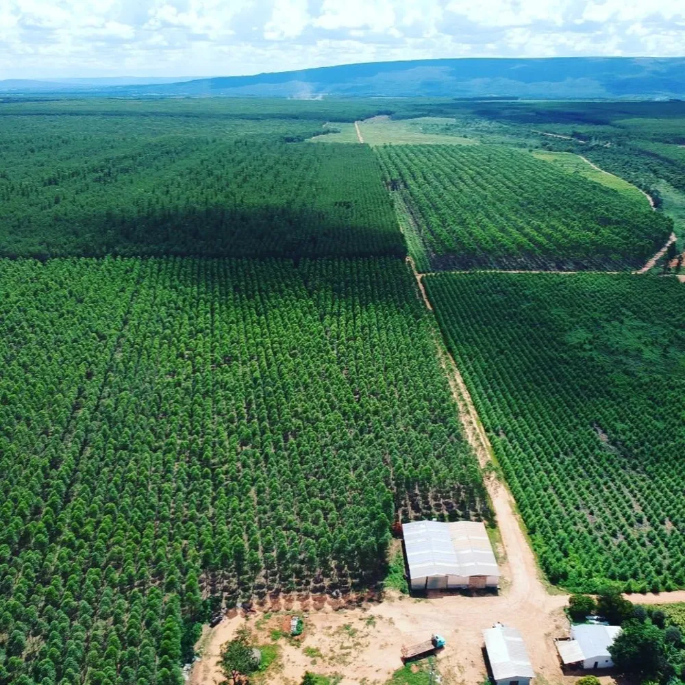 Fazenda, 2273 m² - Foto 3