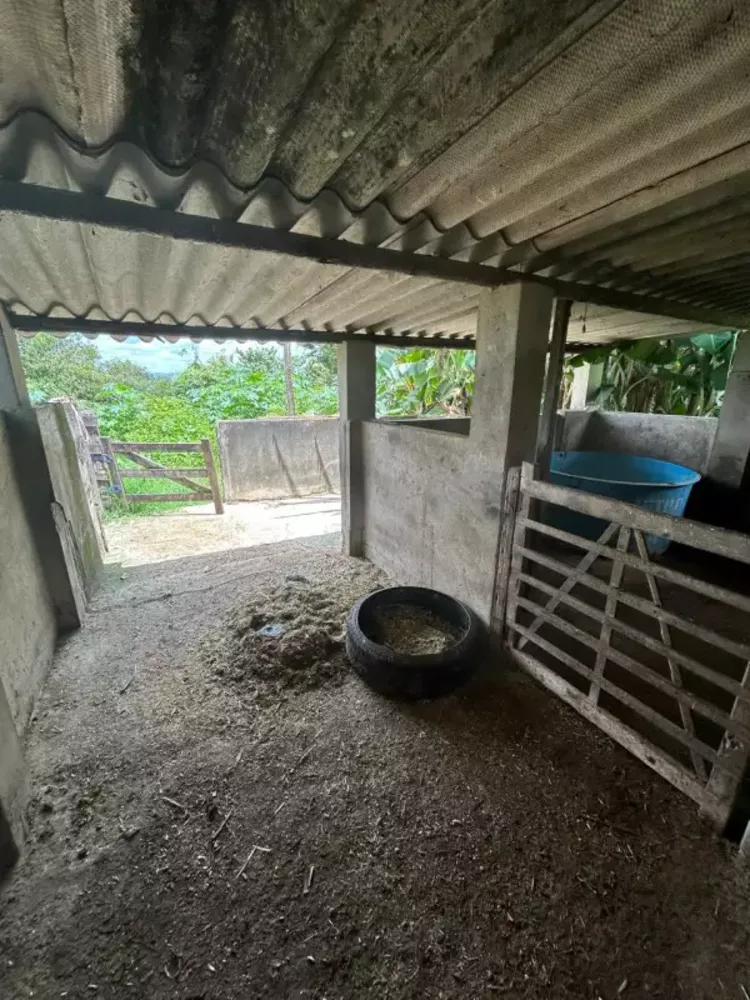 Chácara, 3 quartos, 7 hectares - Foto 11