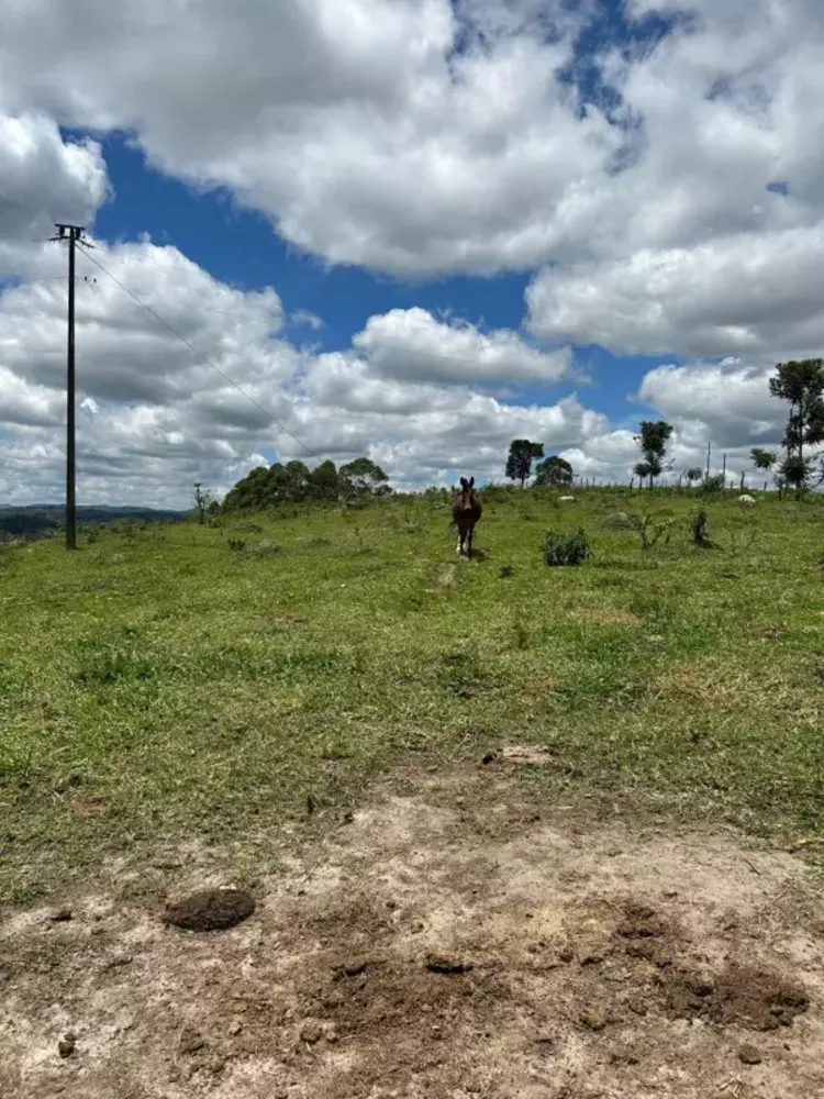 Chácara, 3 quartos, 7 hectares - Foto 16