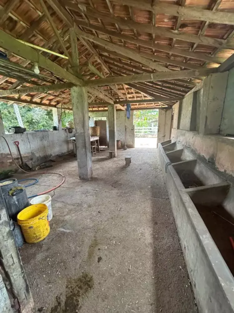 Chácara, 3 quartos, 7 hectares - Foto 10