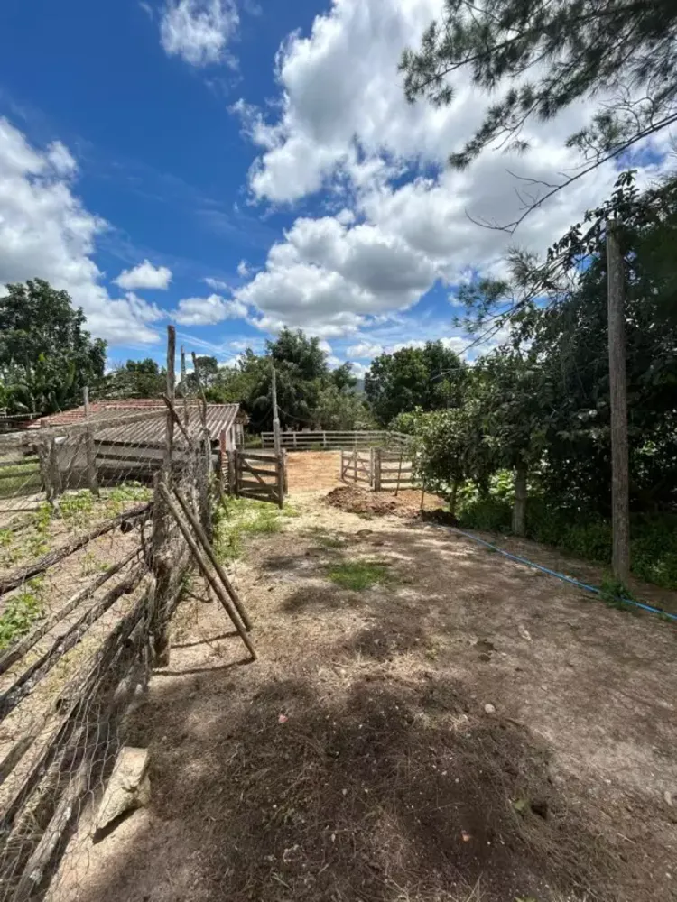 Chácara, 3 quartos, 7 hectares - Foto 6