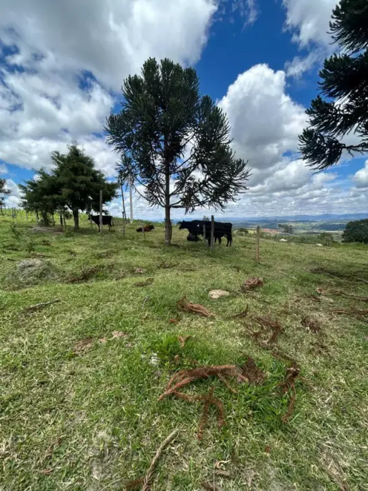 Sítio, 3 quartos, 7 hectares - Foto 21