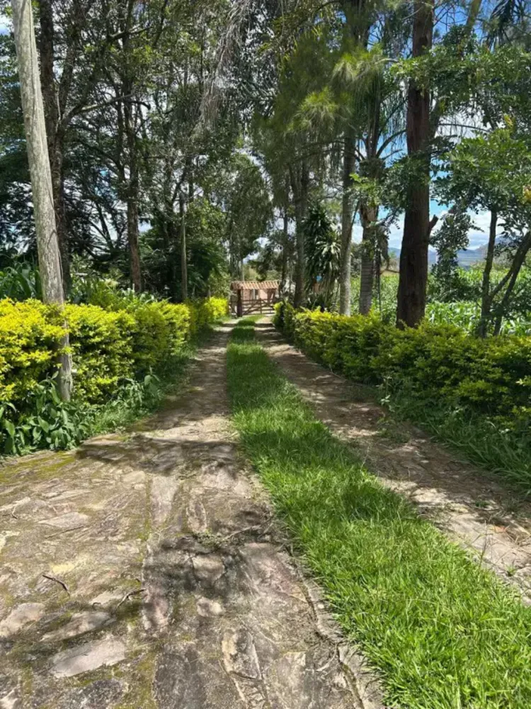 Sítio, 3 quartos, 7 hectares - Foto 4