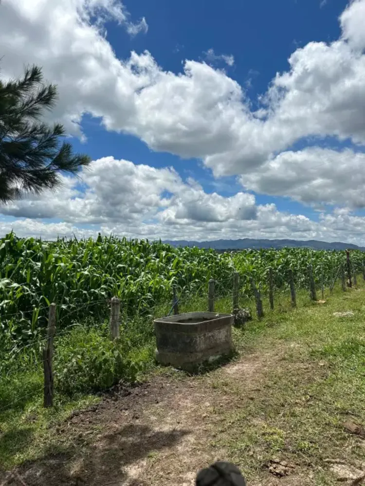 Sítio, 3 quartos, 7 hectares - Foto 19