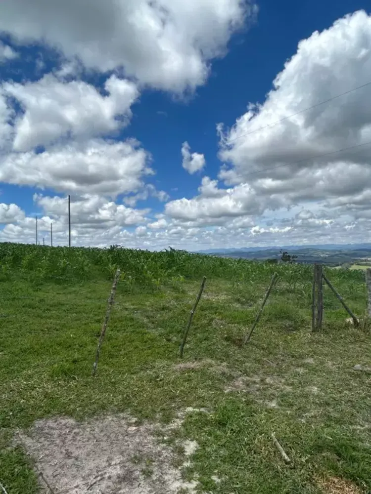 Sítio, 3 quartos, 7 hectares - Foto 24