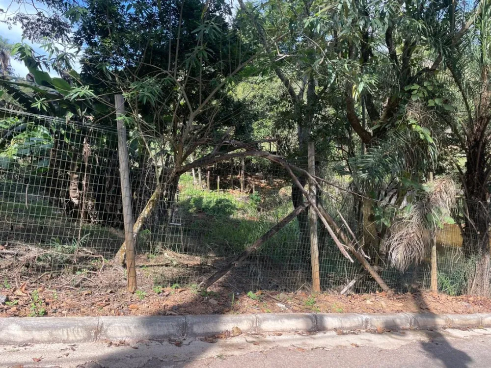Terreno, 5343 m² - Foto 2