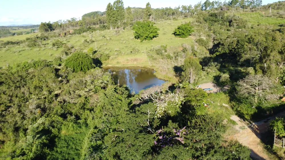 Fazenda, 40 hectares - Foto 7
