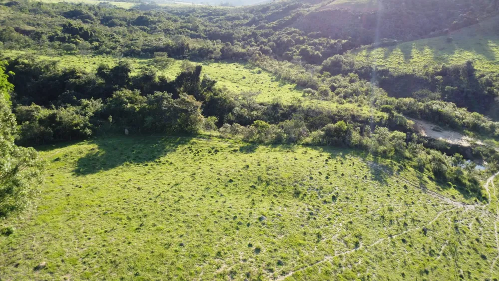 Fazenda, 40 hectares - Foto 10