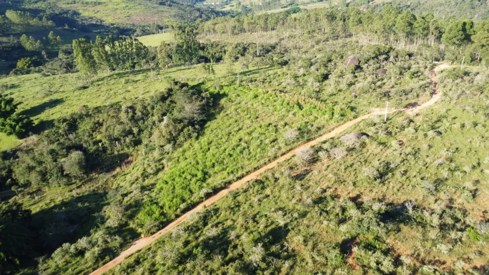 Fazenda, 40 hectares - Foto 8