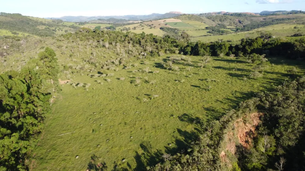 Fazenda, 40 hectares - Foto 1