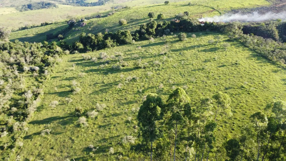 Fazenda, 40 hectares - Foto 3