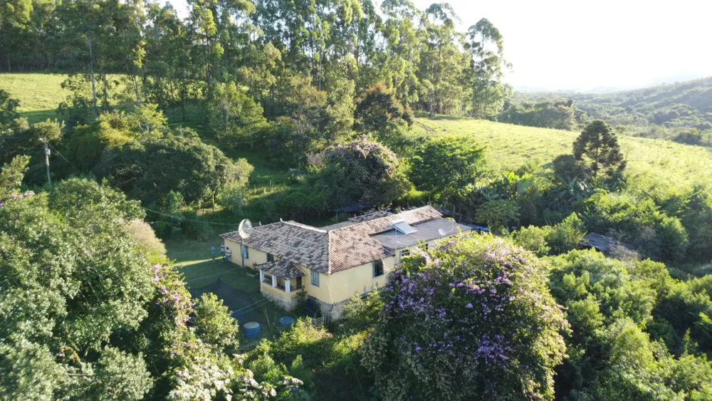 Fazenda, 40 hectares - Foto 4