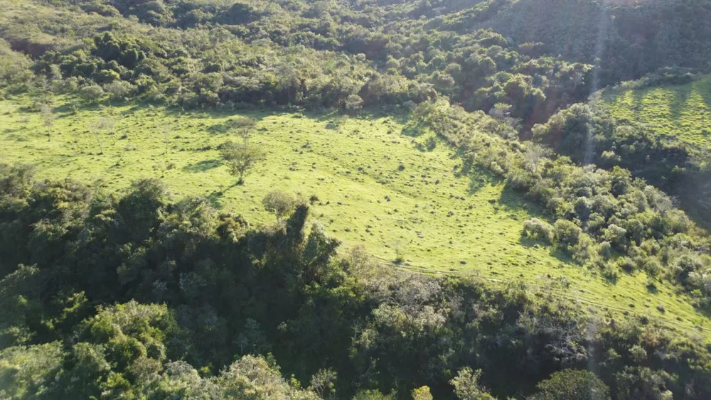 Fazenda, 40 hectares - Foto 12