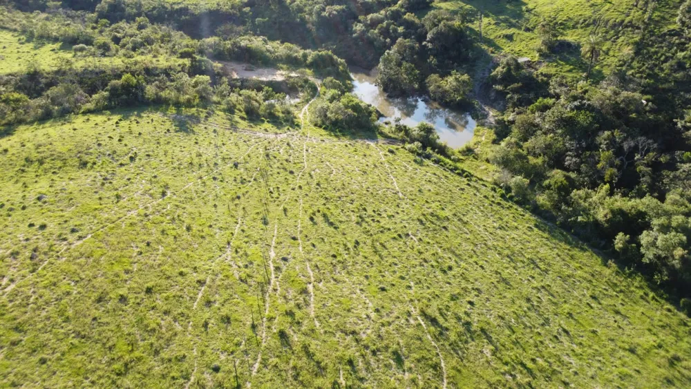 Fazenda, 40 hectares - Foto 11