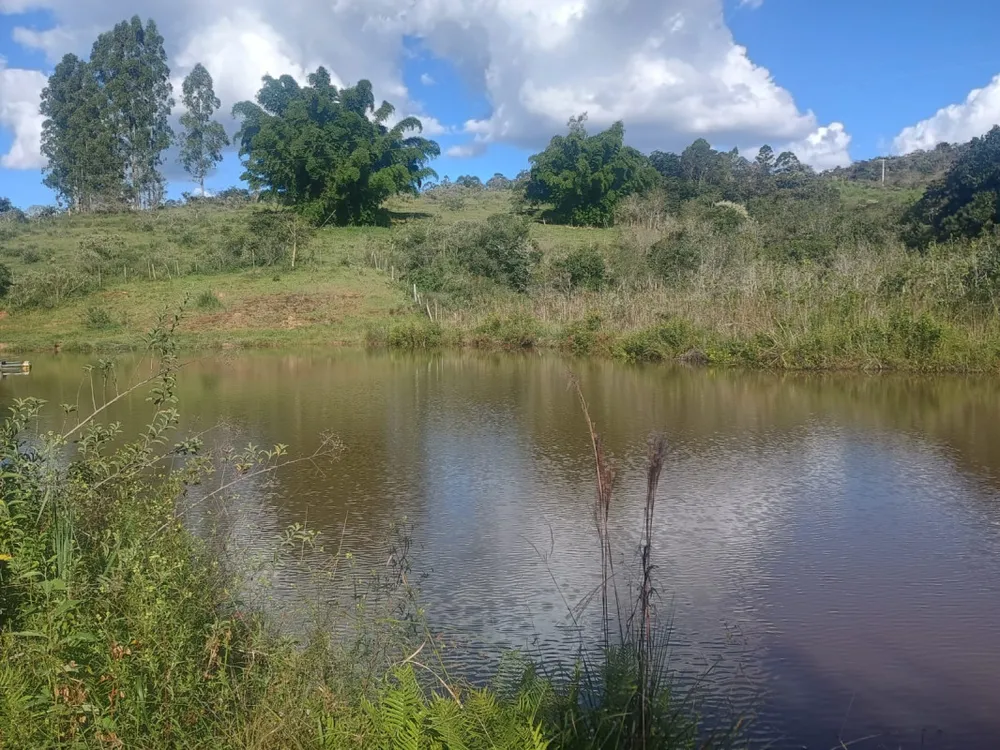 Fazenda, 40 hectares - Foto 9
