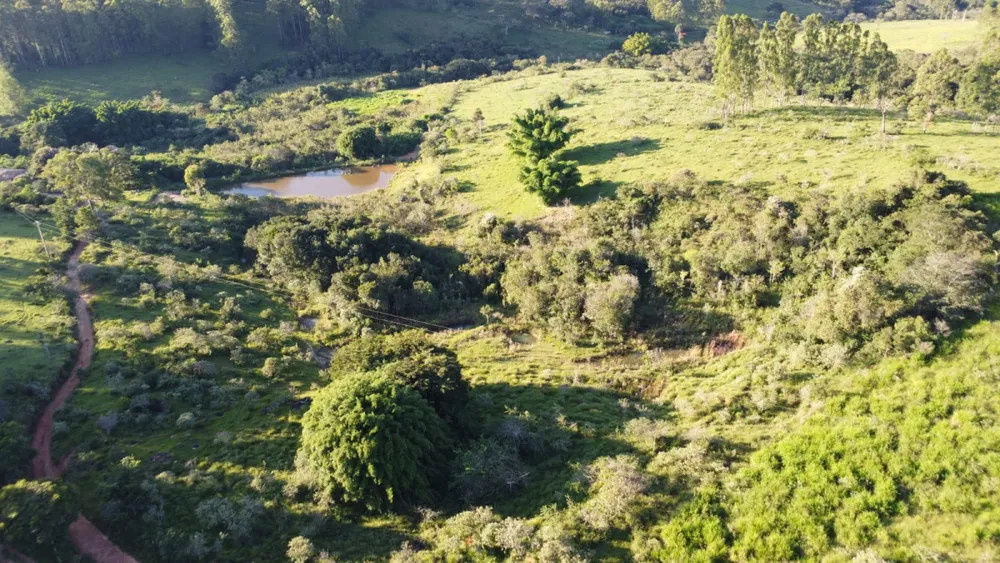 Fazenda, 40 hectares - Foto 2