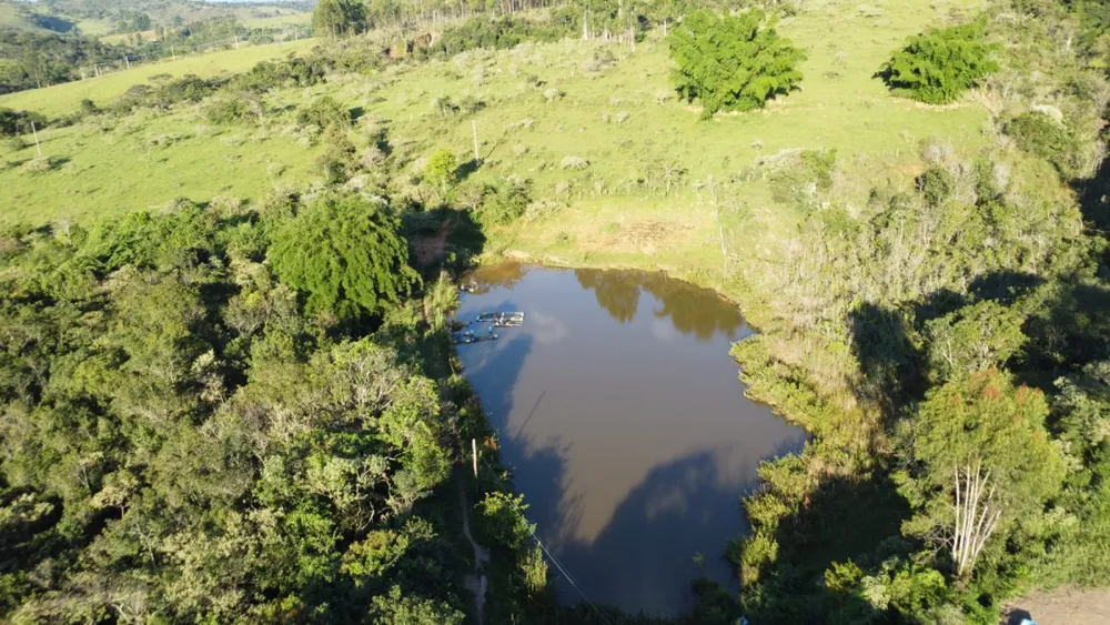 Fazenda, 40 hectares - Foto 6