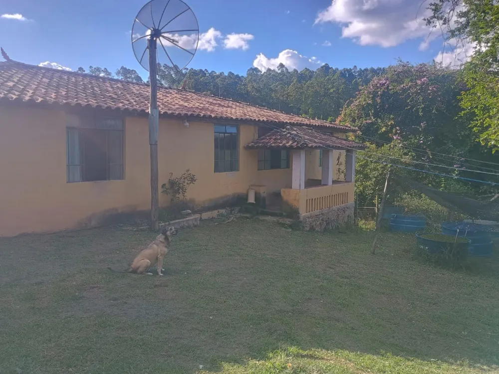 Fazenda, 40 hectares - Foto 3