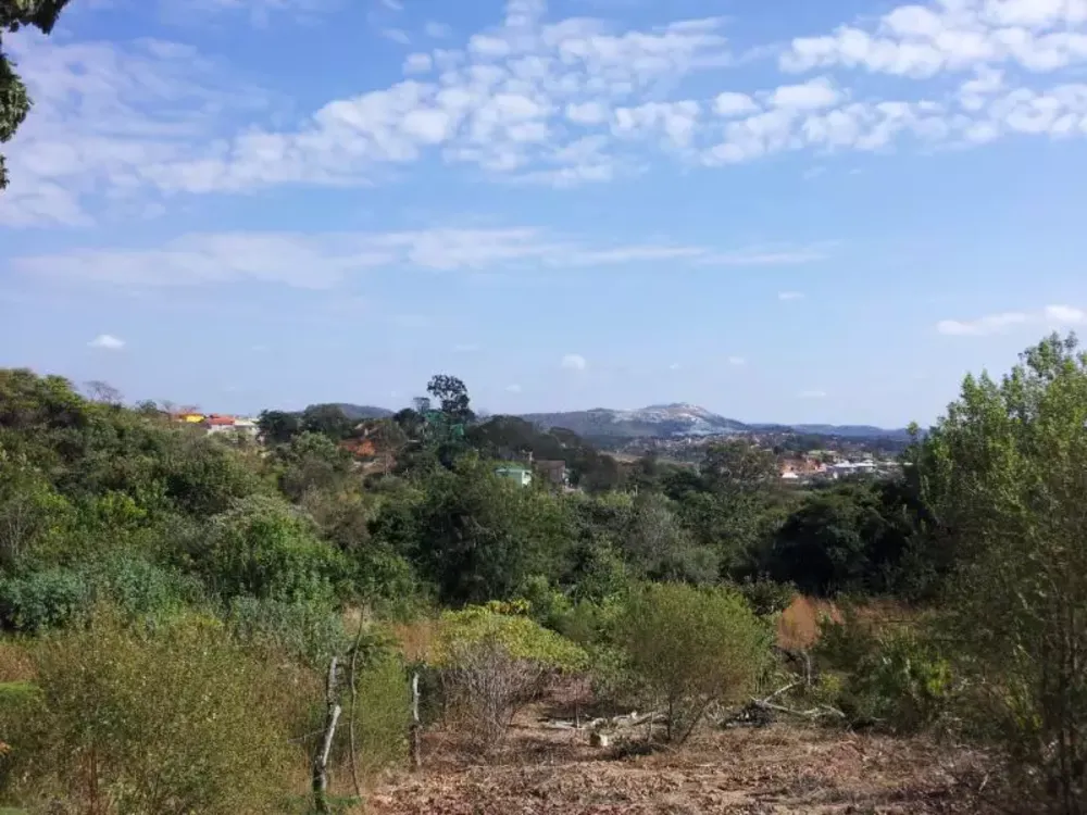 Terreno, 567 m² - Foto 7