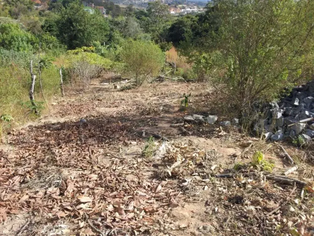 Terreno, 567 m² - Foto 6