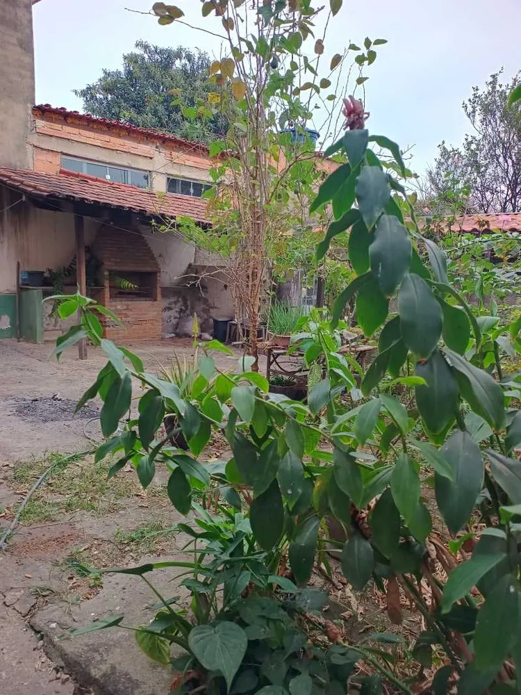 Casa, 4 quartos, 180 m² - Foto 4