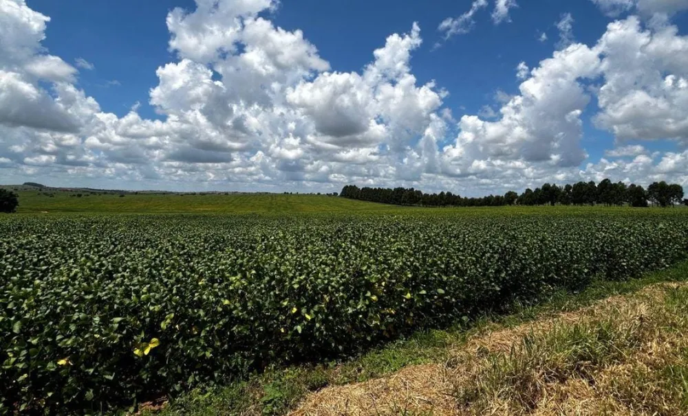 Fazenda, 1 quarto - Foto 1