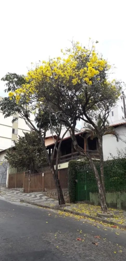 Casa, 4 quartos, 289 m² - Foto 9