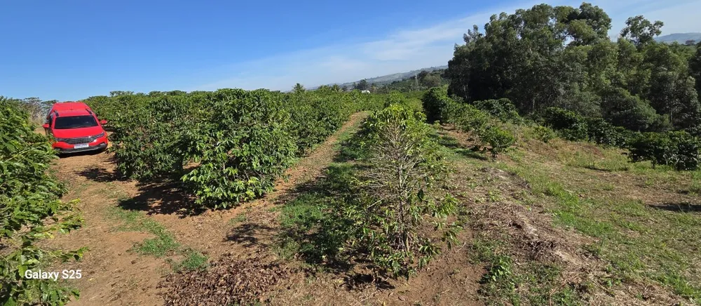 Sítio, 1 quarto, 12 hectares - Foto 4