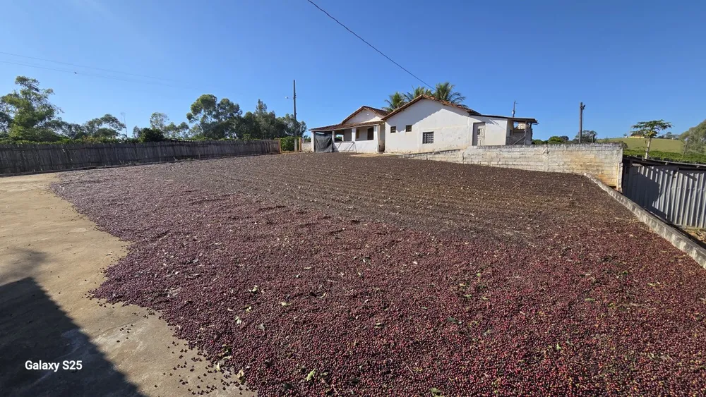 Sítio, 1 quarto, 12 hectares - Foto 15
