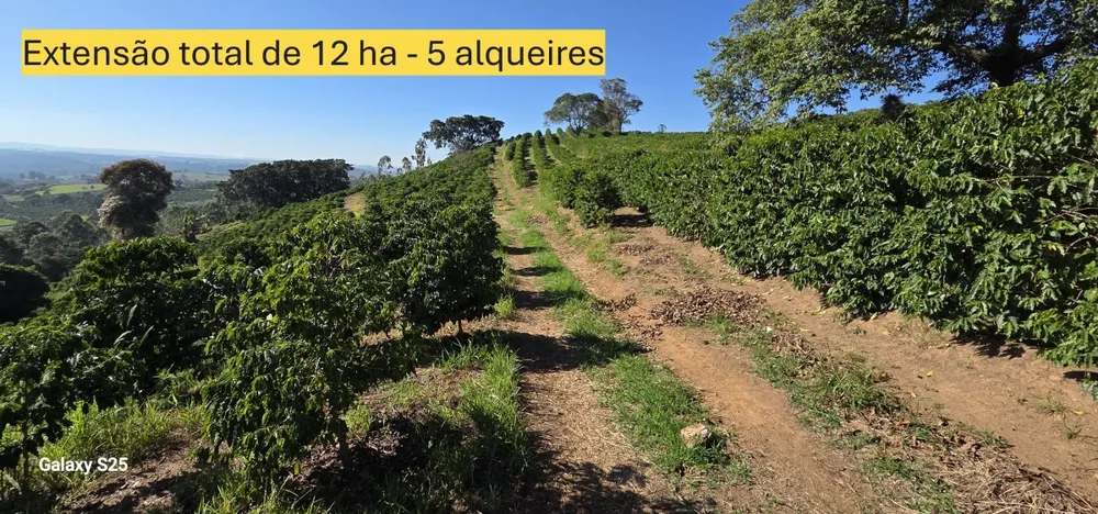 Sítio, 1 quarto, 12 hectares - Foto 1