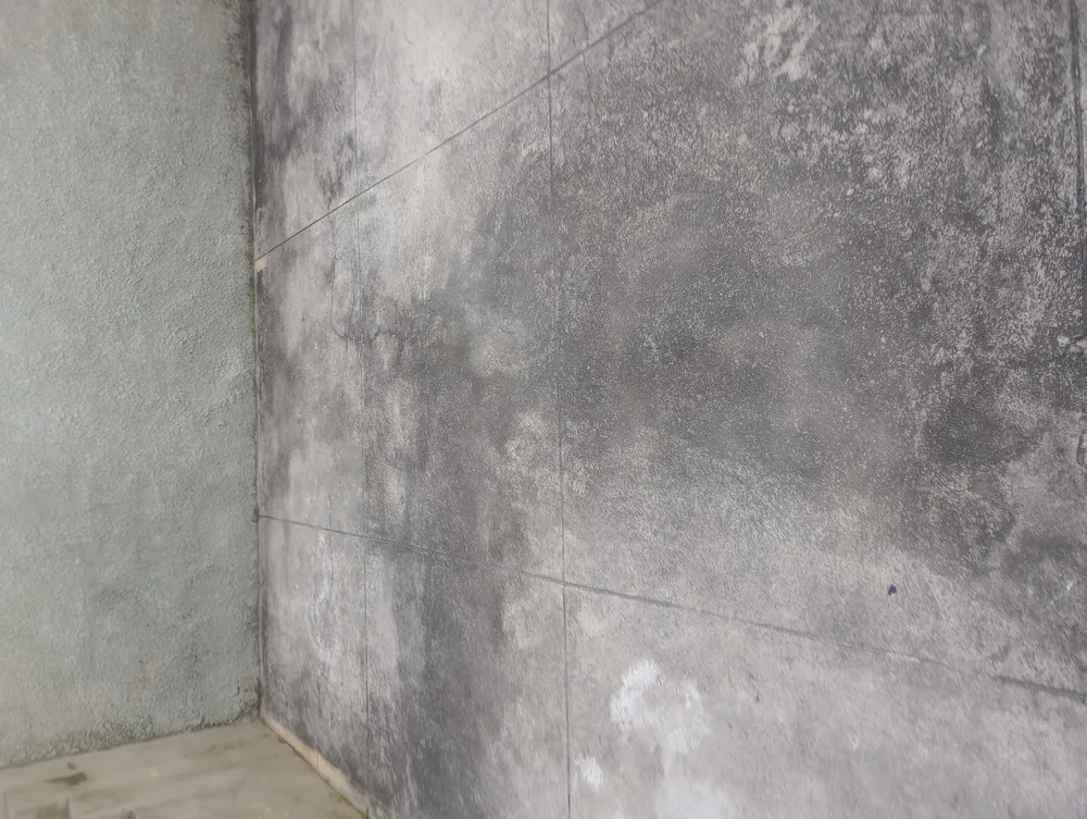 Apartamento, 3 quartos, 73 m² - Foto 15