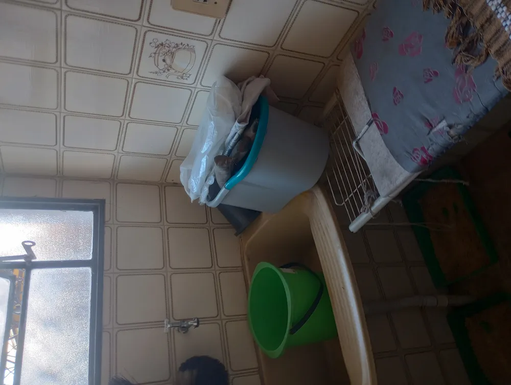Apartamento, 3 quartos, 73 m² - Foto 13