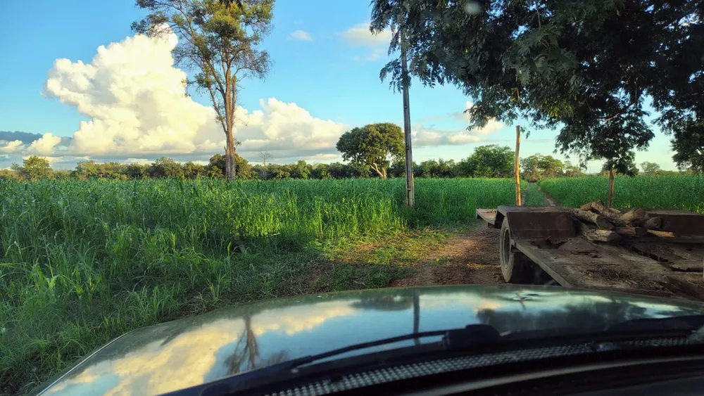 Fazenda, 1 quarto - Foto 18