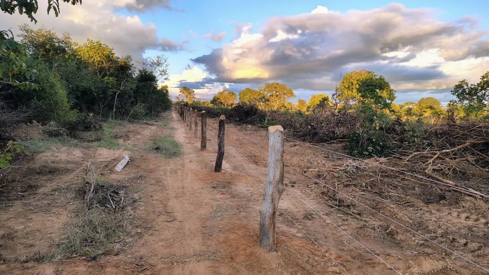 Fazenda, 1 quarto - Foto 17