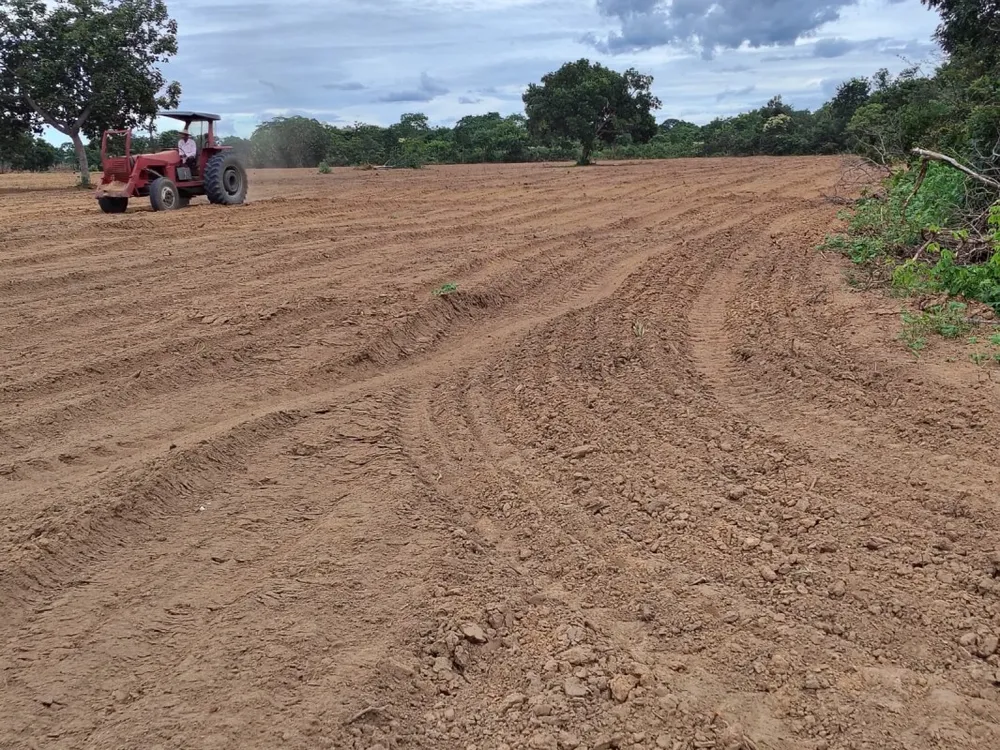 Fazenda, 1 quarto - Foto 7