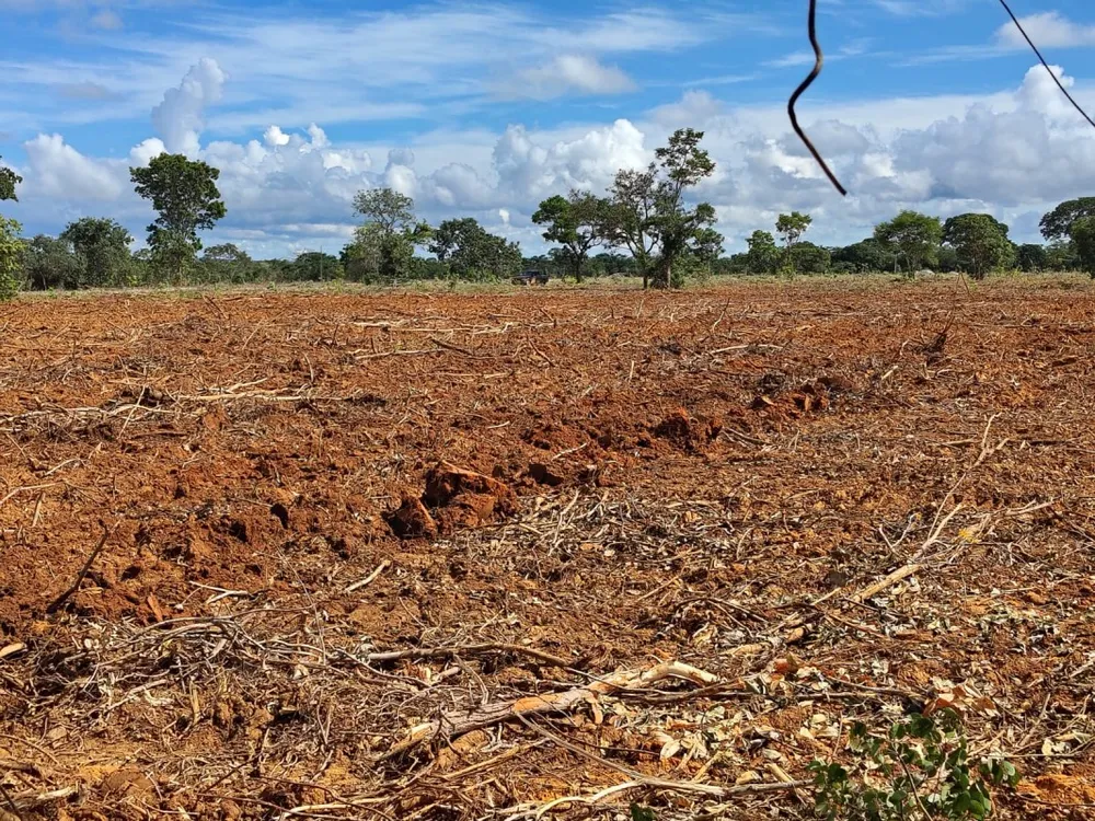 Fazenda, 1 quarto - Foto 4