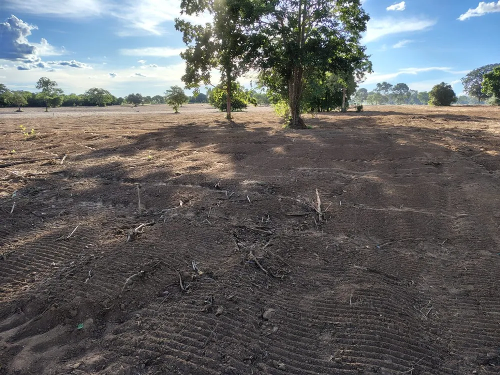 Fazenda, 1 quarto - Foto 8