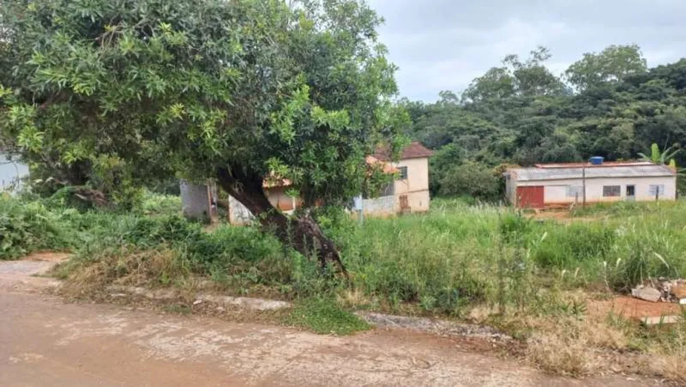 Terreno, 6000 m² - Foto 3