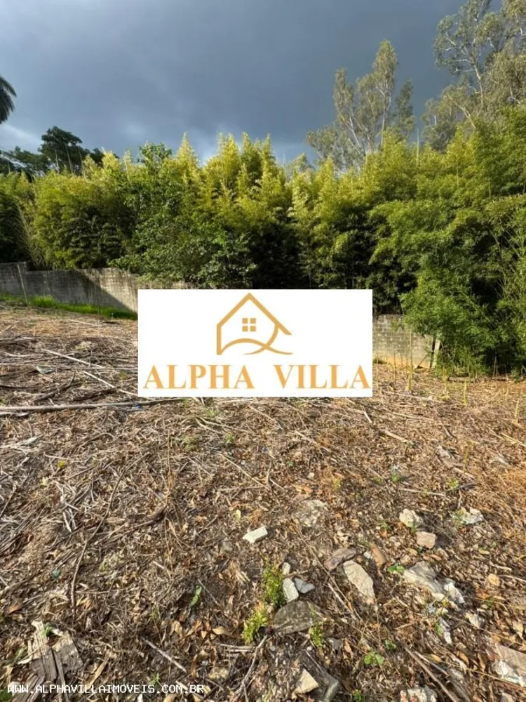 Terreno, 586 m² - Foto 3