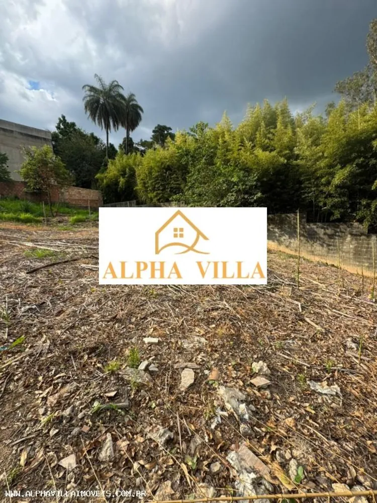 Terreno, 586 m² - Foto 4
